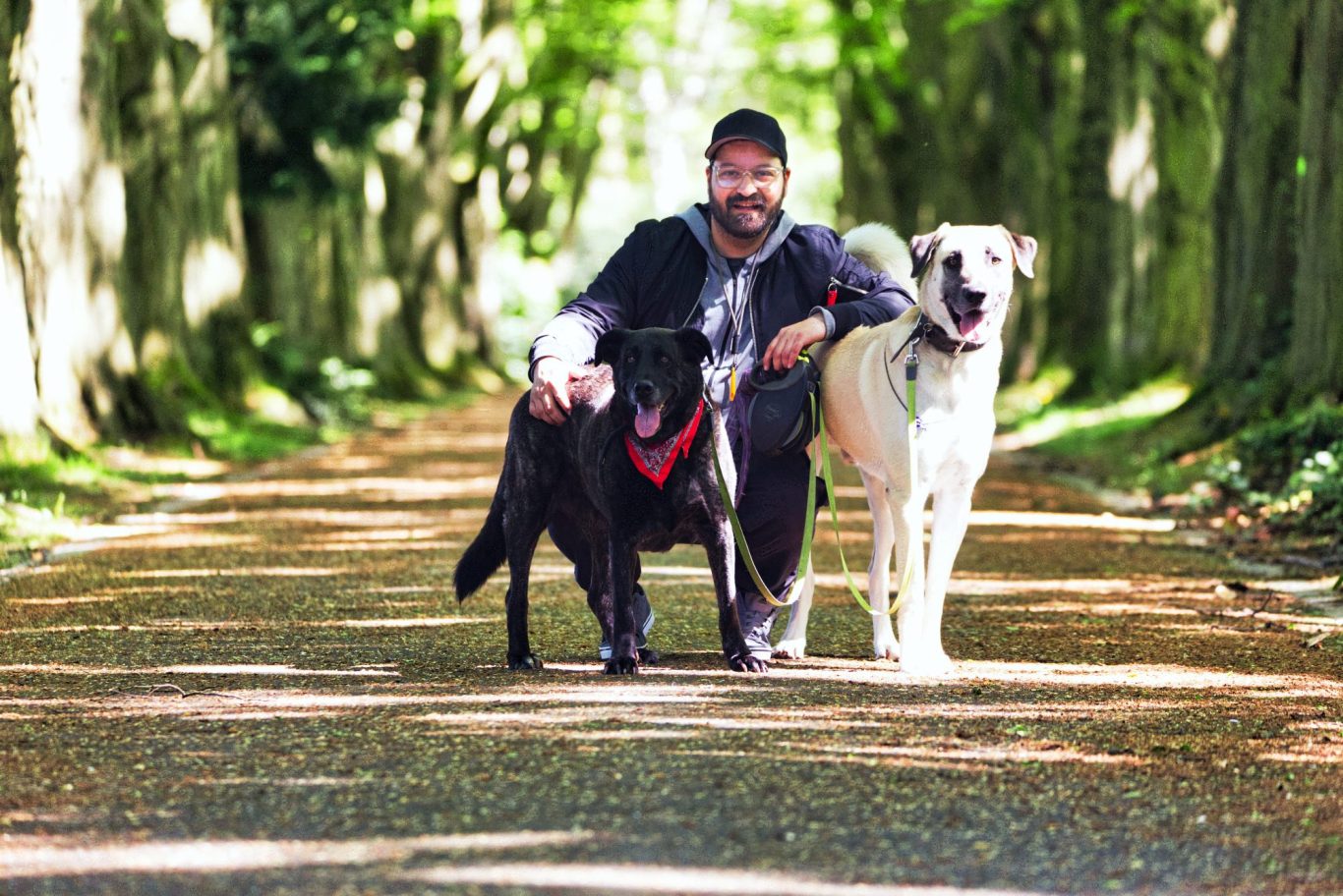 Mann sitzt mit zwei Hunden auf einem Weg umgeben von Bäumen.